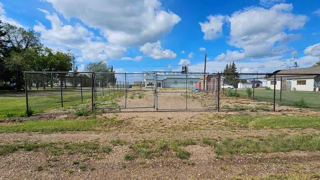 MLS® A2243936 - 113 1 Street E in Alliance Alliance, Land