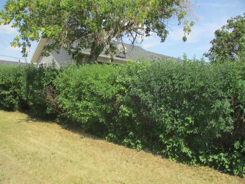 MLS® A2243955 - 200 6th Avenue  in NONE Manning, Residential