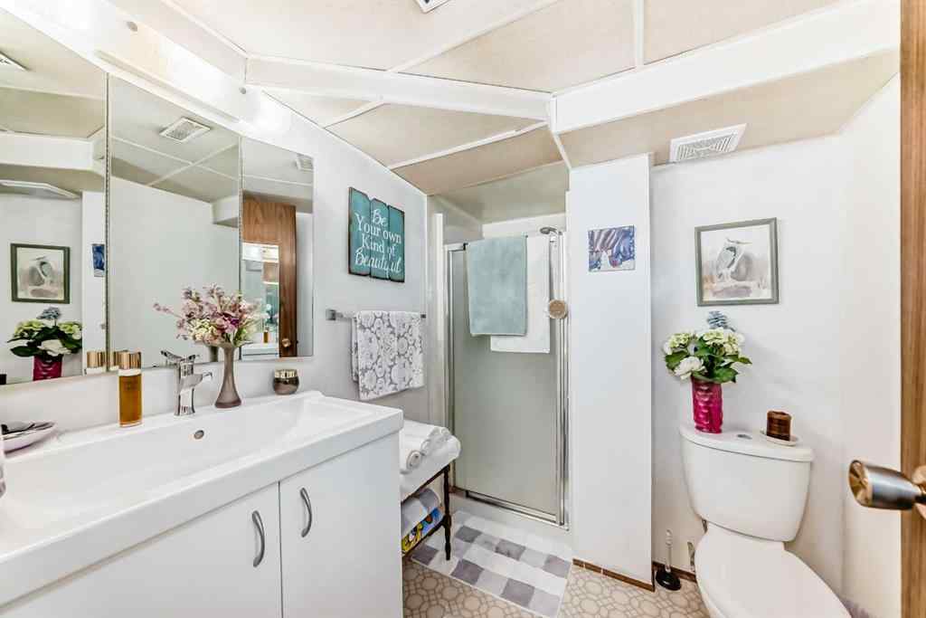 MLS® A2244002 - 247 Doverview Crescent SE in Dover Calgary, Residential