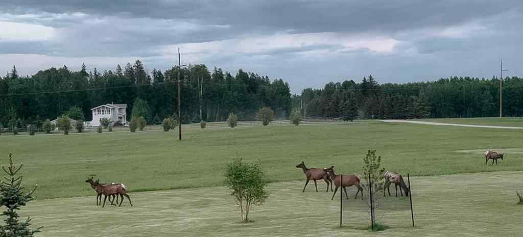 MLS® A2244026 - Unit #5 53018 Range Road 175   in NONE Rural Yellowhead County, Residential
