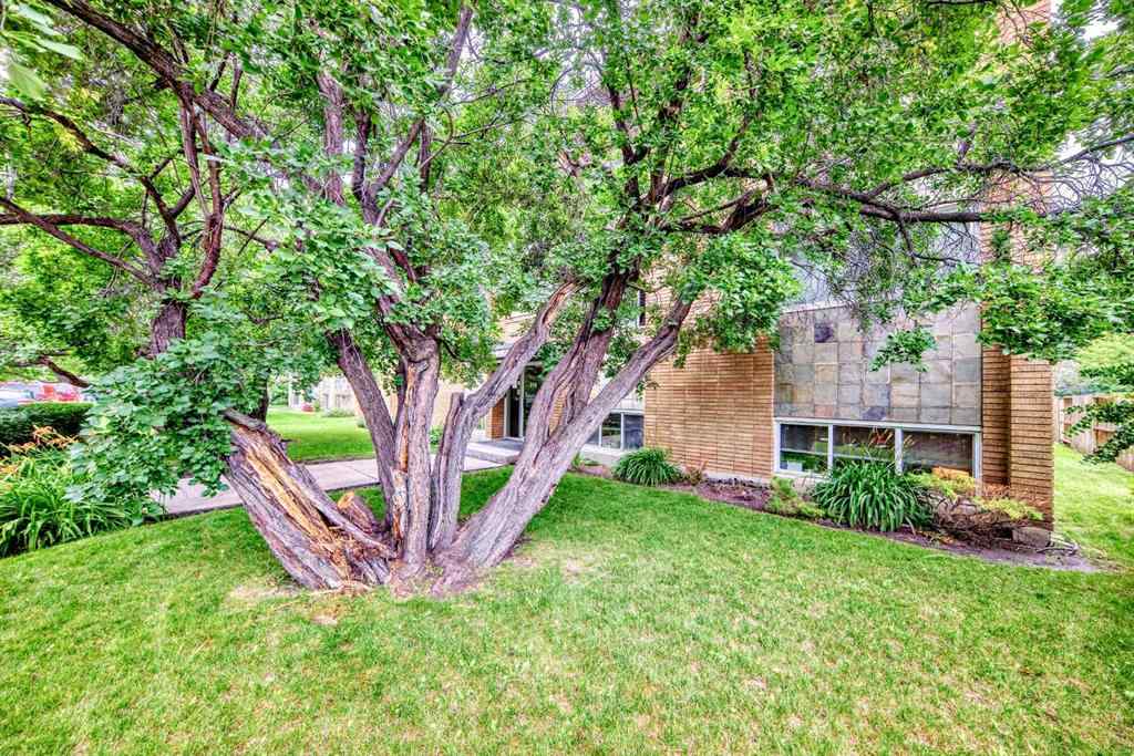 MLS® A2244134 - Unit #8 310 22 Avenue SW in Mission Calgary, Residential