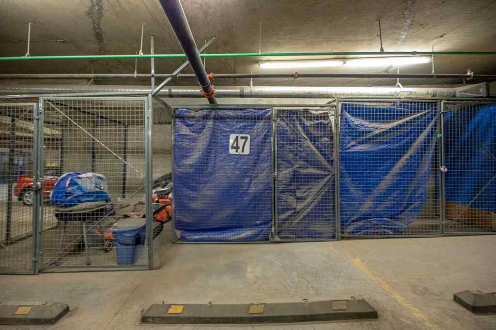 MLS® A2244136 - Unit #221 515 4 Avenue NE in Bridgeland/Riverside Calgary, Residential
