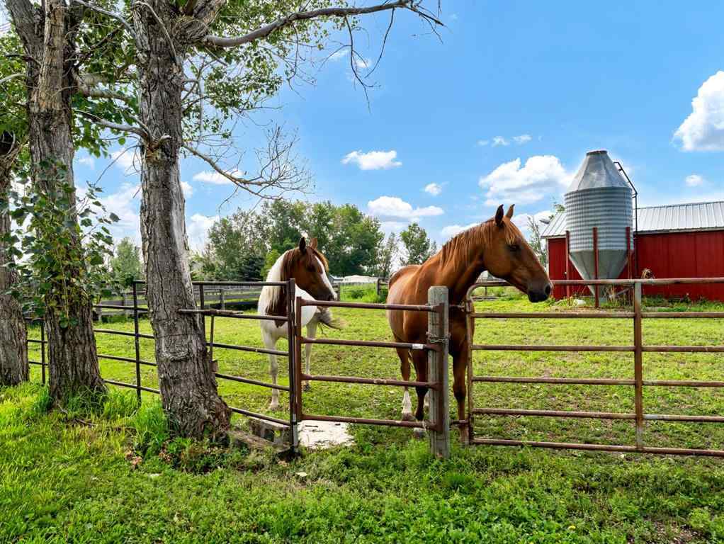 MLS® A2244137 - 12228 Range Road 64   in NONE Rural Cypress County, Residential