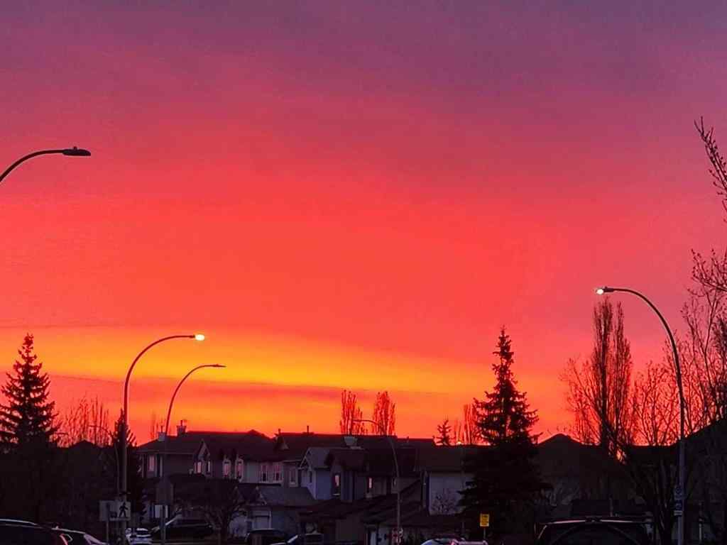 MLS® A2244254 - 87 Coventry Road NE in Coventry Hills Calgary, Residential