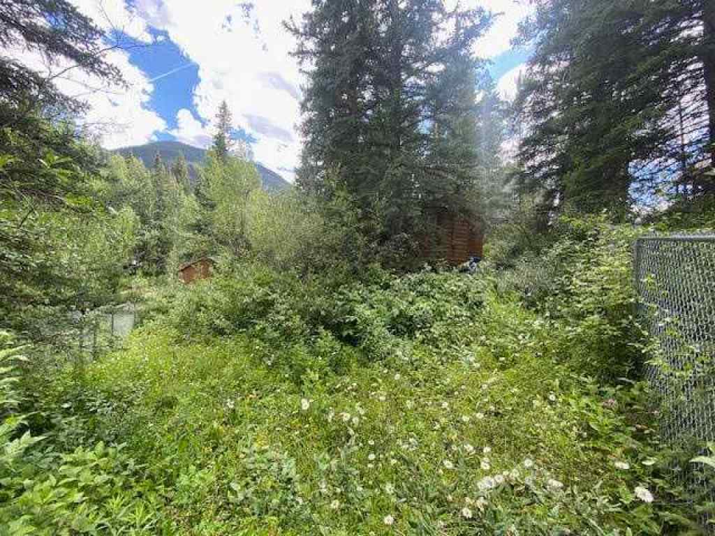 MLS® A2244346 - 16-49329 FOLDING Avenue  in NONE Rural Yellowhead County, Residential