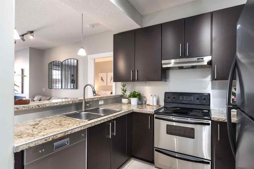 MLS® A2244374 - Unit #309 880 Centre Avenue NE in Bridgeland/Riverside Calgary, Residential