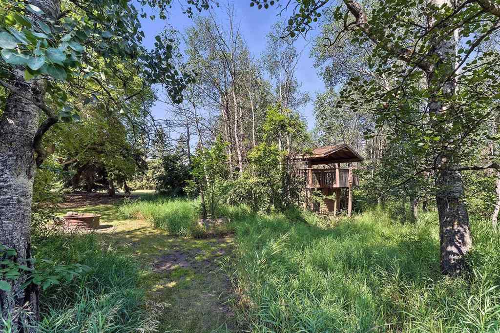 MLS® A2244402 - 19459 Township Rd 392 Stettler AB Township  in NONE Rural Stettler No. 6, County of, Residential