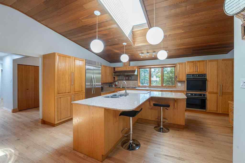 MLS® A2244402 - 19459 Township Rd 392 Stettler AB Township  in NONE Rural Stettler No. 6, County of, Residential