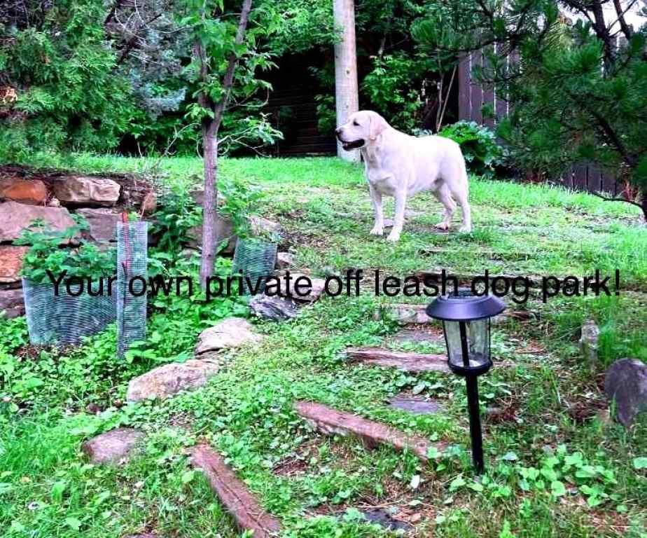 MLS® A2244410 - 39 34 Avenue SW in Parkhill Calgary, Residential