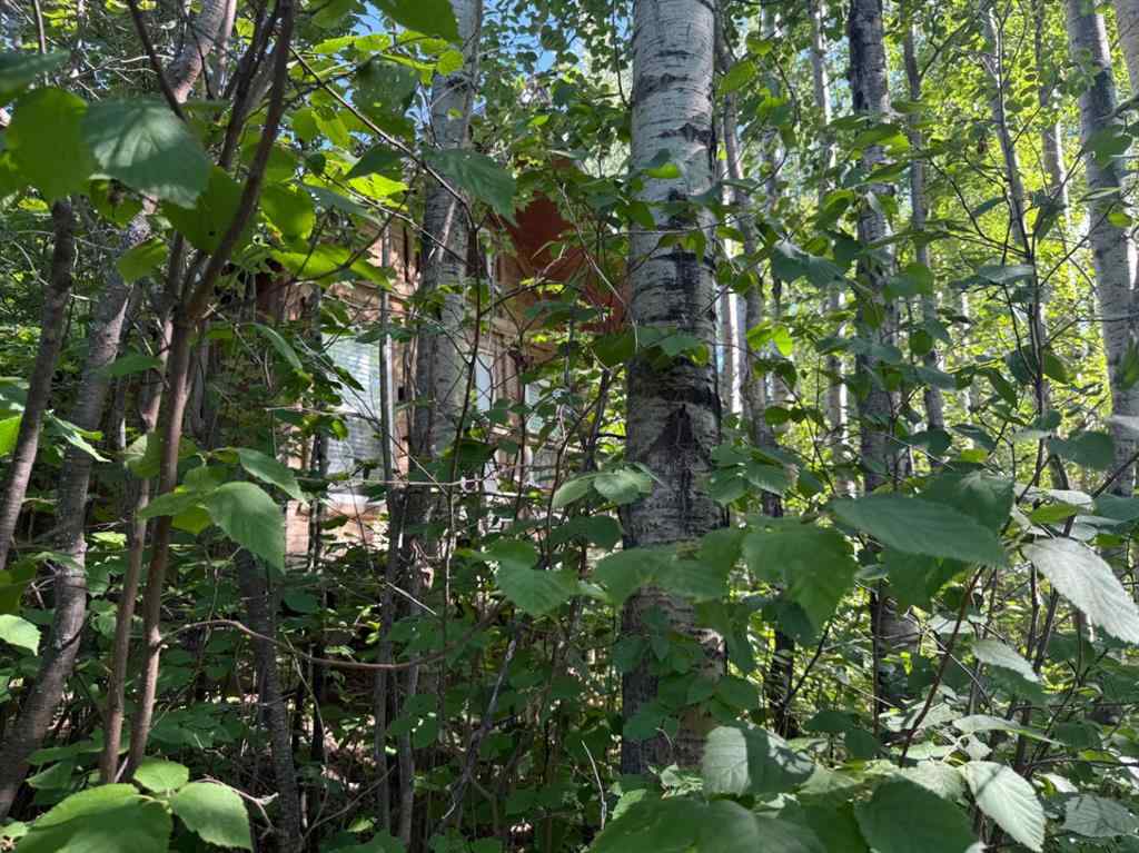 MLS® A2244570 - 318 13221 680 Township  in Golden Sands Rural Lac La Biche County, Land