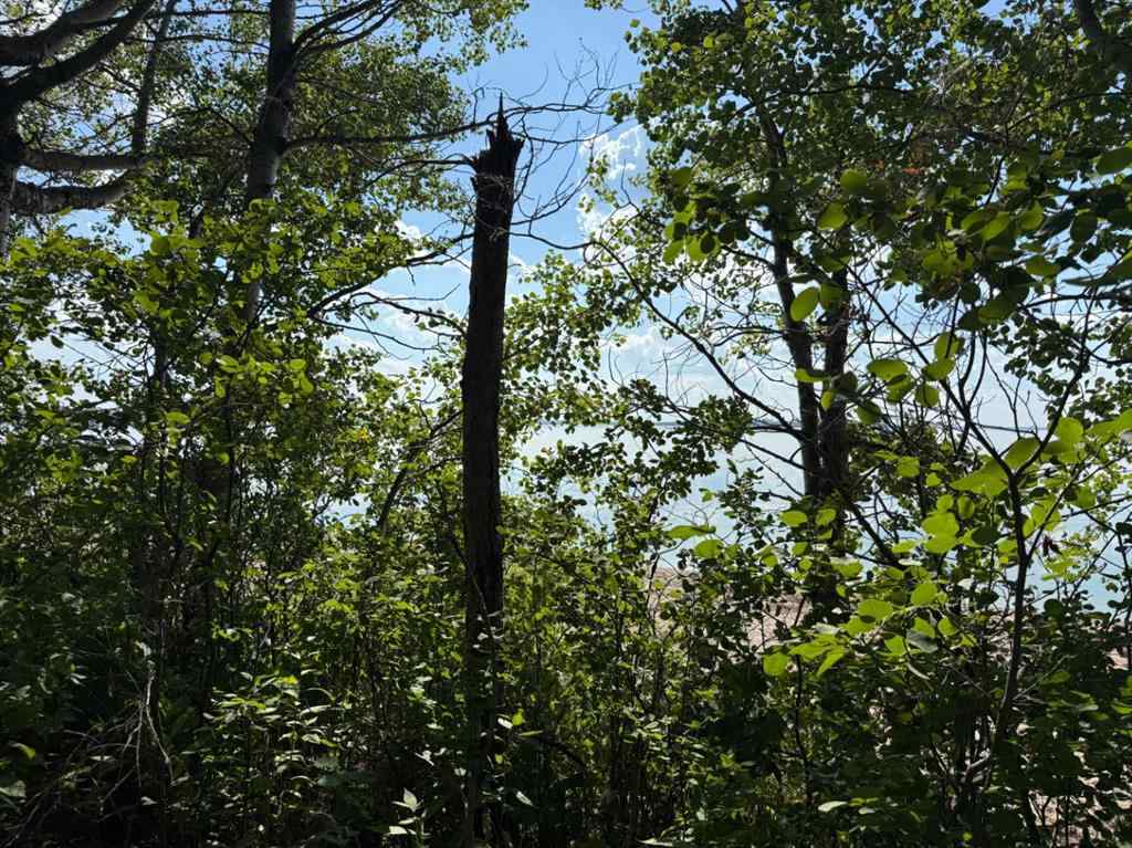 MLS® A2244570 - 318 13221 680 Township  in Golden Sands Rural Lac La Biche County, Land