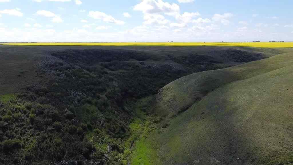 MLS® A2244795 -  Township Rd 215   in NONE Rural Wheatland County, Land