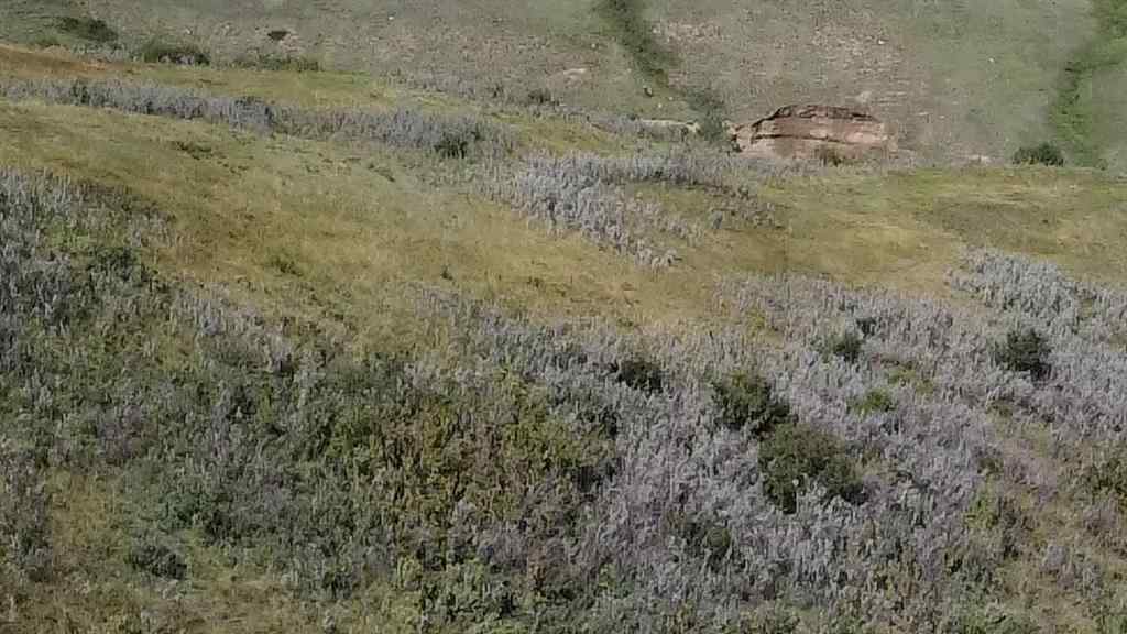 MLS® A2244795 -  Township Rd 215   in NONE Rural Wheatland County, Land