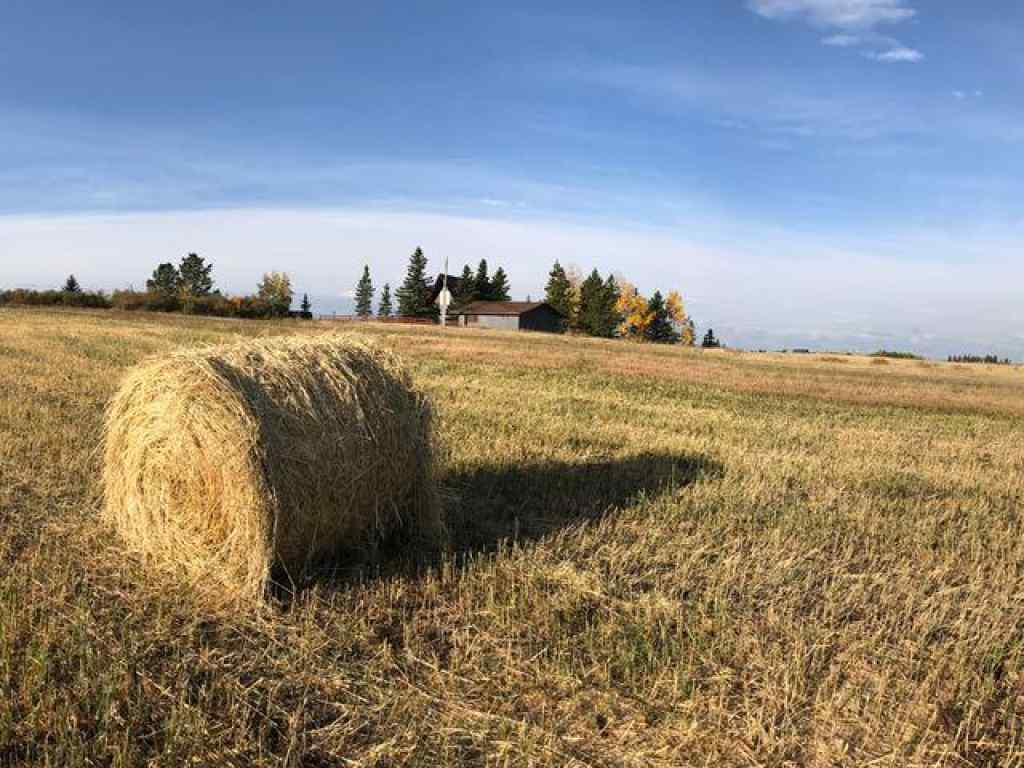 MLS® A2244850 - 40091 Big Hill Road  in NONE Rural Rocky View County, Residential