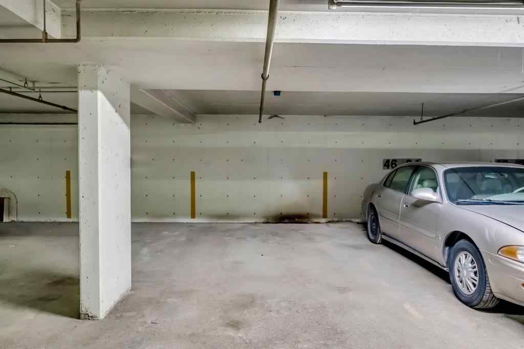 MLS® A2244870 - Unit #204 4204 Valleyview Park SE in Dover Calgary, Residential
