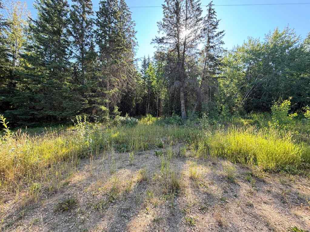 MLS® A2244952 - Lot 2 Part of NW-33-65-22-W4   in NONE Rural Athabasca County, Land