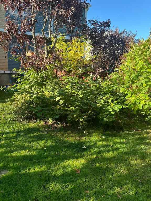 MLS® A2245103 - 124 Wallace Place  in Thickwood Fort McMurray, Residential