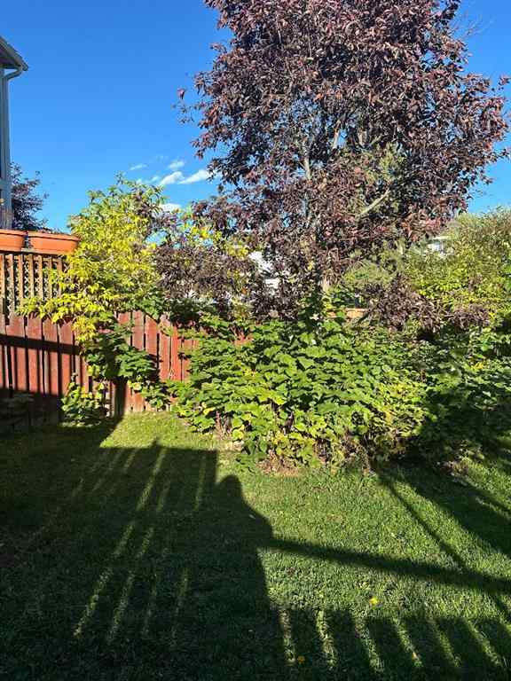 MLS® A2245103 - 124 Wallace Place  in Thickwood Fort McMurray, Residential