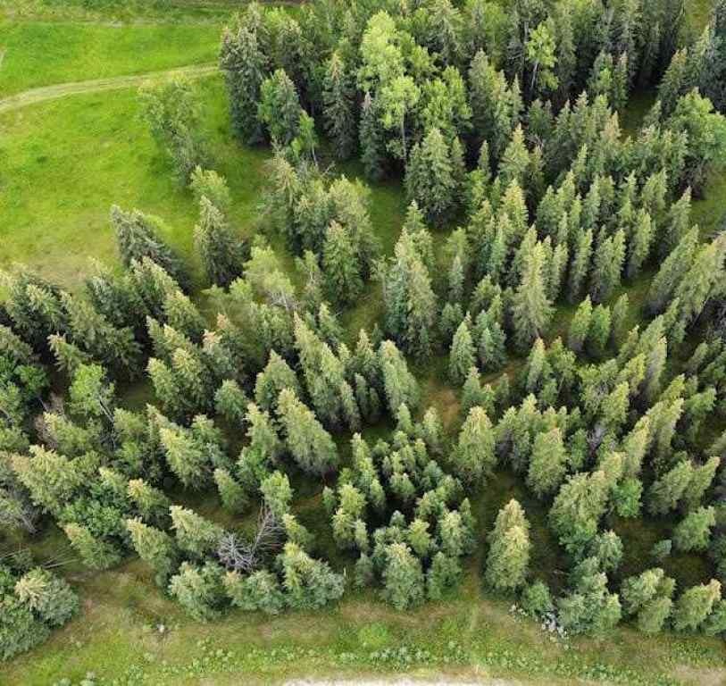 MLS® A2245230 - 2 Juniper Ridge  in NONE Rural Yellowhead County, Land