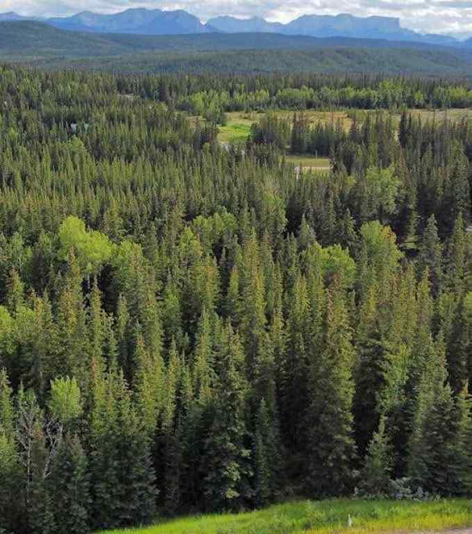 MLS® A2245230 - 2 Juniper Ridge  in NONE Rural Yellowhead County, Land