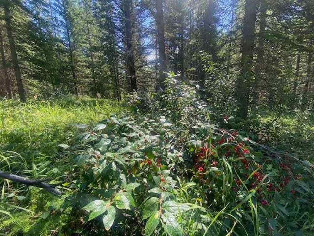 MLS® A2245230 - 2 Juniper Ridge  in NONE Rural Yellowhead County, Land