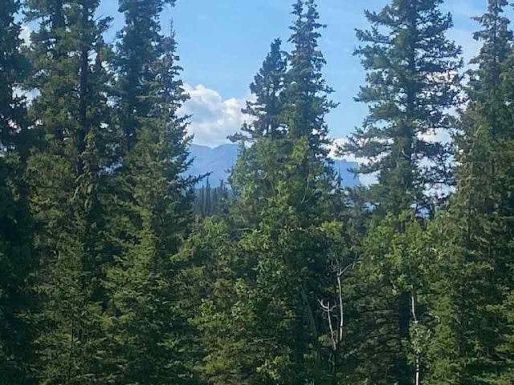 MLS® A2245230 - 2 Juniper Ridge  in NONE Rural Yellowhead County, Land