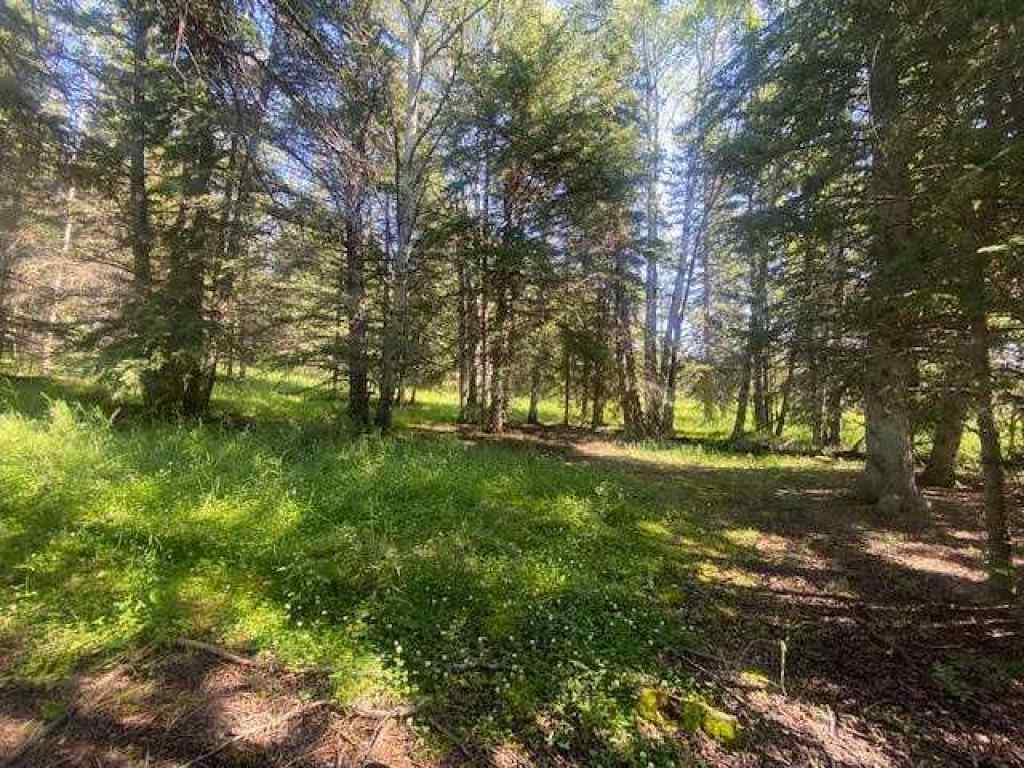 MLS® A2245230 - 2 Juniper Ridge  in NONE Rural Yellowhead County, Land
