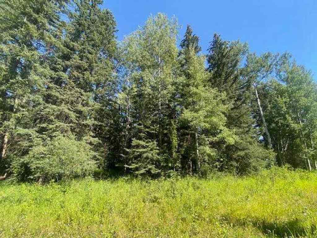MLS® A2245230 - 2 Juniper Ridge  in NONE Rural Yellowhead County, Land