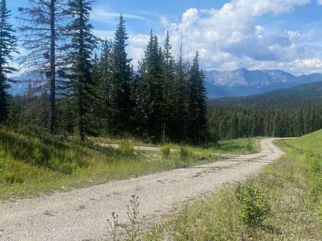 MLS® A2245230 - 2 Juniper Ridge  in NONE Rural Yellowhead County, Land