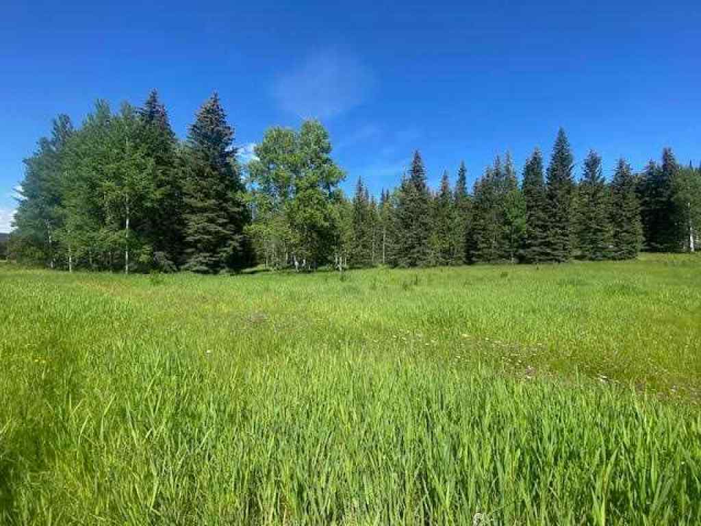 MLS® A2245230 - 2 Juniper Ridge  in NONE Rural Yellowhead County, Land