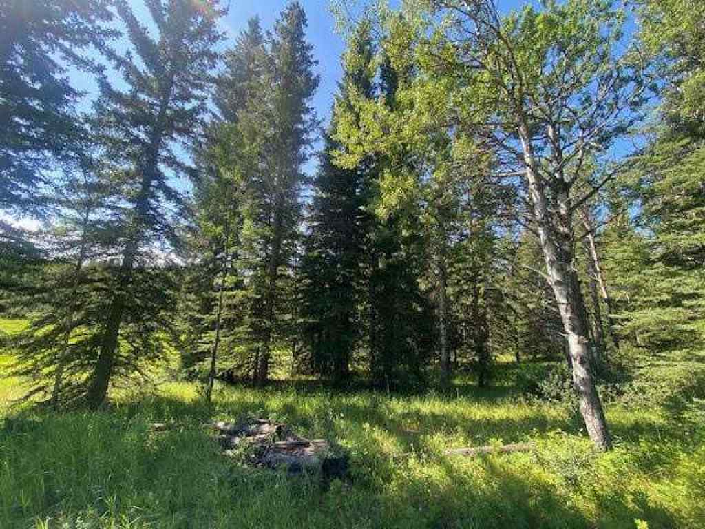 MLS® A2245230 - 2 Juniper Ridge  in NONE Rural Yellowhead County, Land