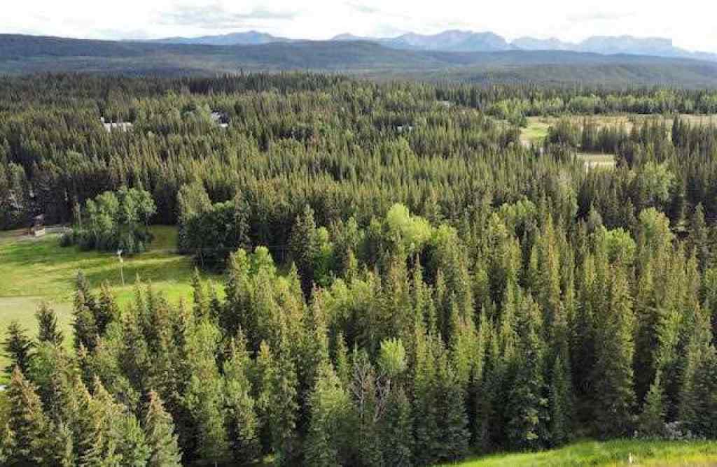 MLS® A2245230 - 2 Juniper Ridge  in NONE Rural Yellowhead County, Land