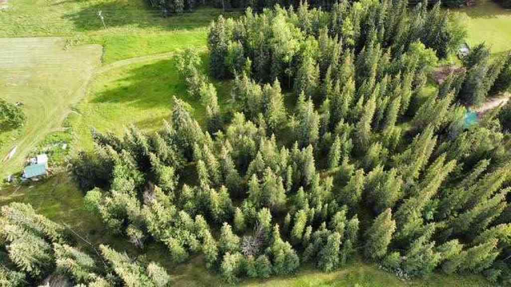 MLS® A2245230 - 2 Juniper Ridge  in NONE Rural Yellowhead County, Land