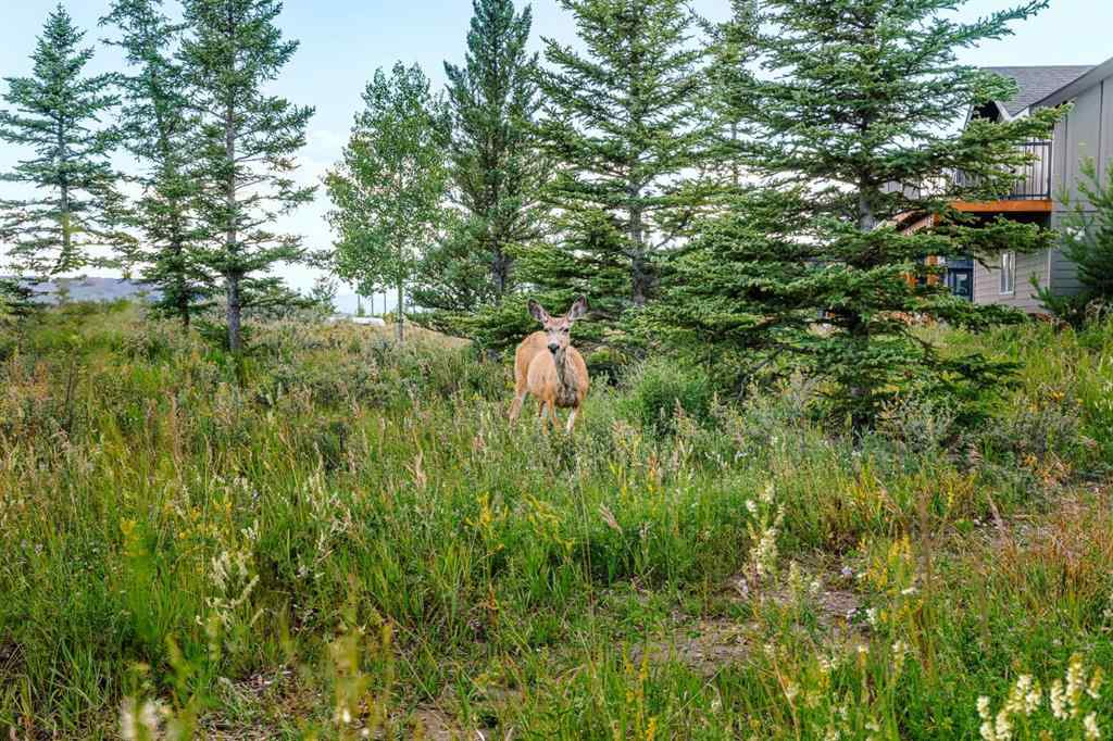 MLS® A2245242 - 407 Cottage Club Grove  in Cottage Club at Ghost Lake Rural Rocky View County, Land