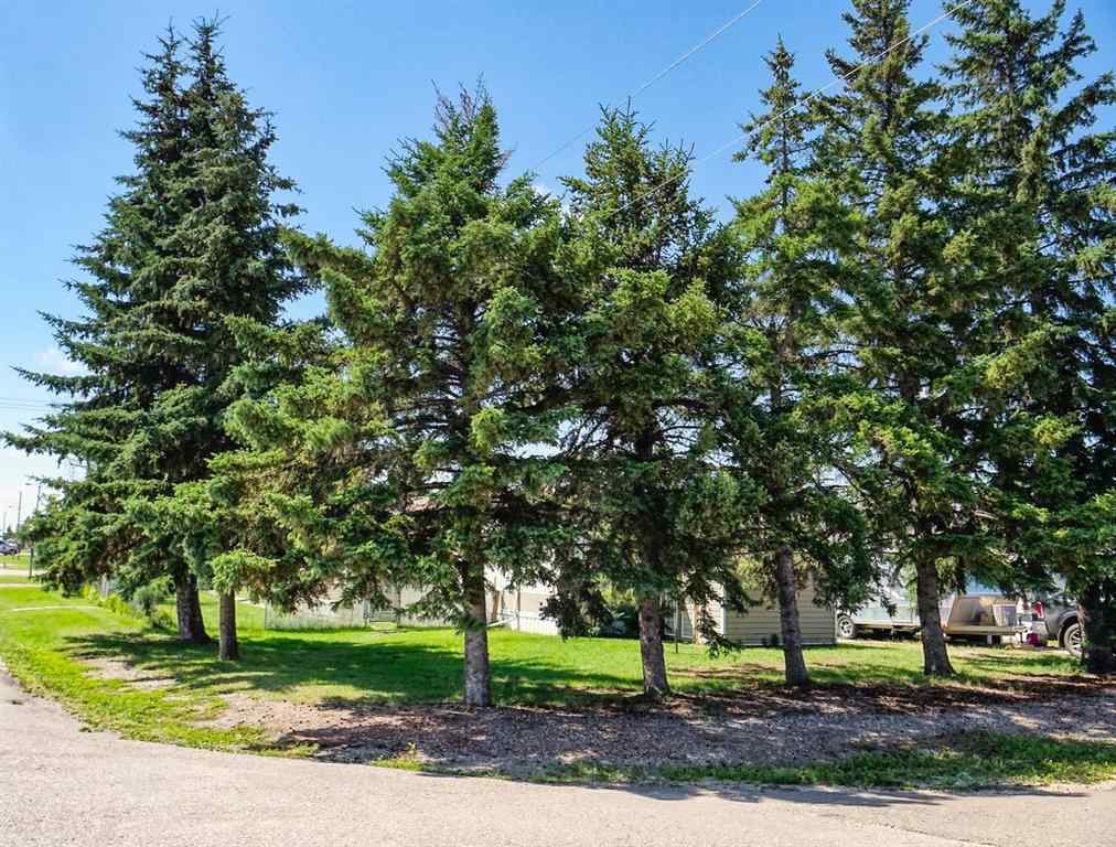 MLS® A2245295 - 1 Torrington Mobile Home Park  in NONE Torrington, Mobile