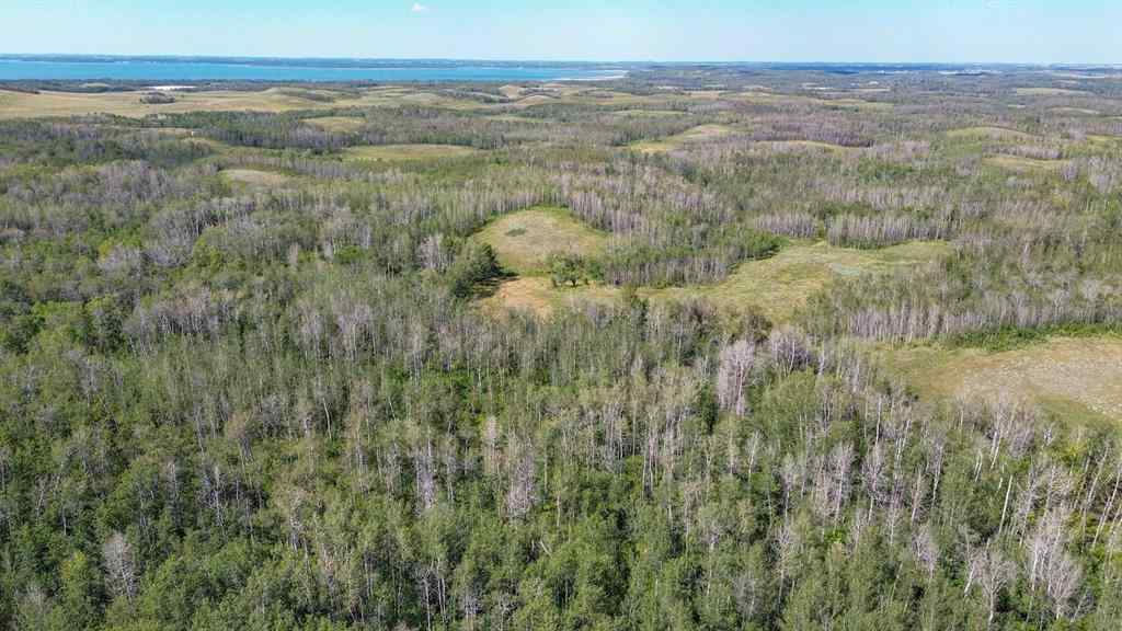 MLS® A2245313 - 20108 TWP 40-4   in NONE Rural Stettler No. 6, County of, Agri-Business