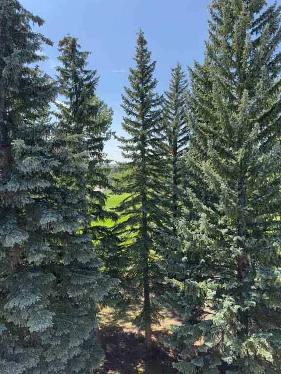 MLS® A2245316 - Unit #406C 5601 Dalton Drive NW in Dalhousie Calgary, Residential
