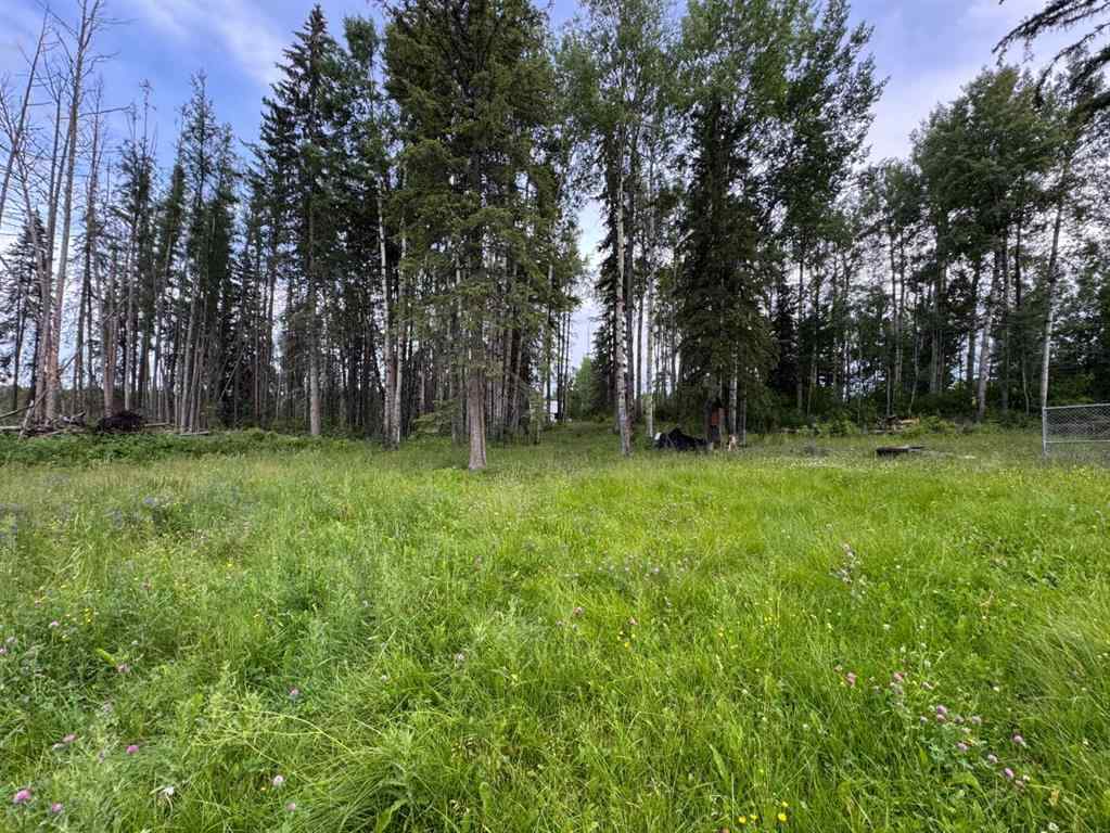 MLS® A2245503 - 16111 TOWNSHIP ROAD 540B   in NONE Rural Yellowhead County, Residential