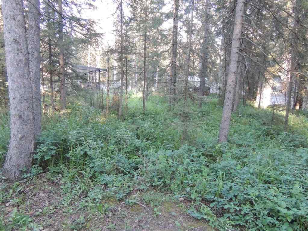 MLS® A2245648 - 9 Timber Trail  in NONE Sundre, Land