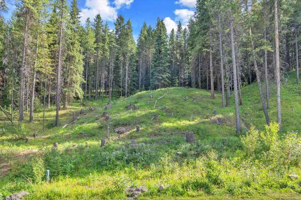 MLS® A2245659 - 262 Southmore Place  in NONE Blairmore, Land