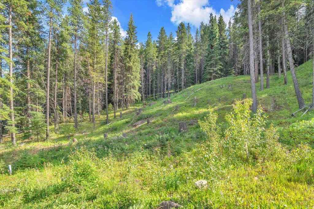 MLS® A2245659 - 262 Southmore Place  in NONE Blairmore, Land
