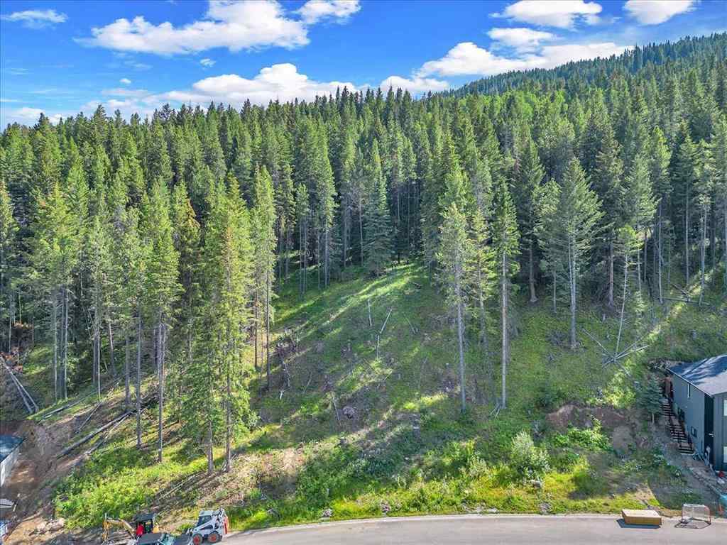 MLS® A2245659 - 262 Southmore Place  in NONE Blairmore, Land