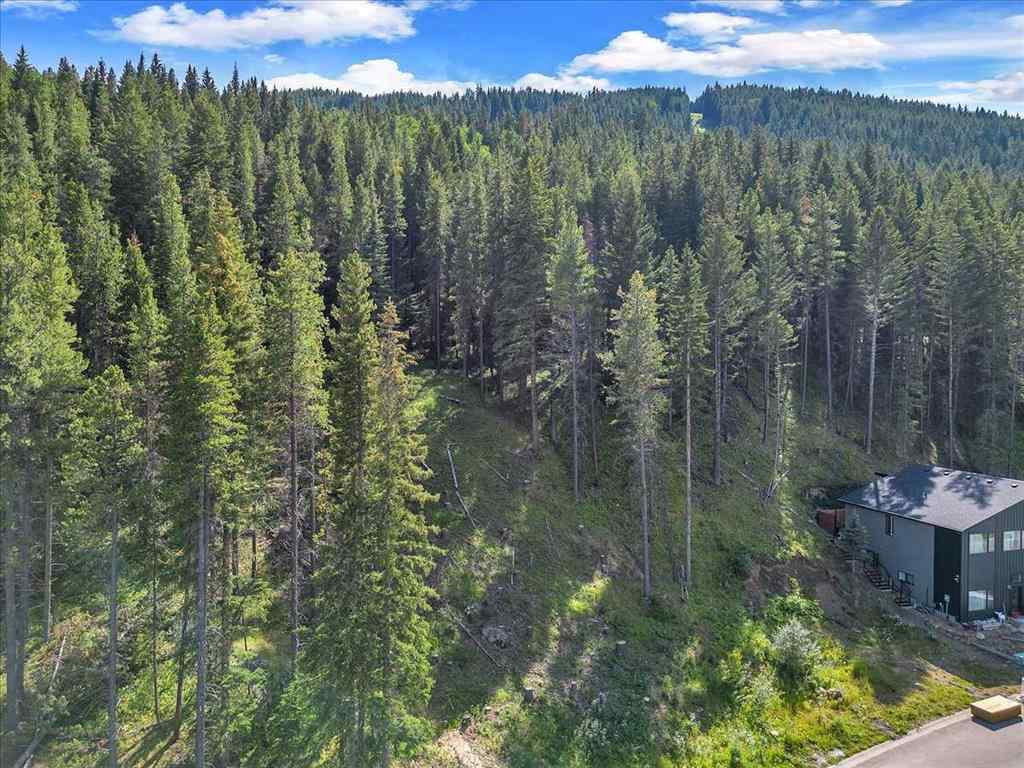 MLS® A2245659 - 262 Southmore Place  in NONE Blairmore, Land