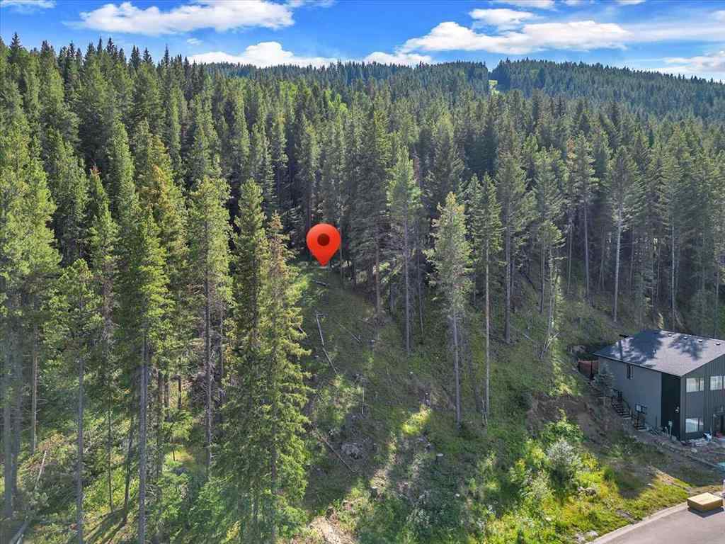 MLS® A2245659 - 262 Southmore Place  in NONE Blairmore, Land