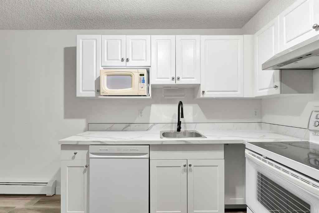 MLS® A2245702 - Unit #312 1717 60 Street SE in Red Carpet Calgary, Residential