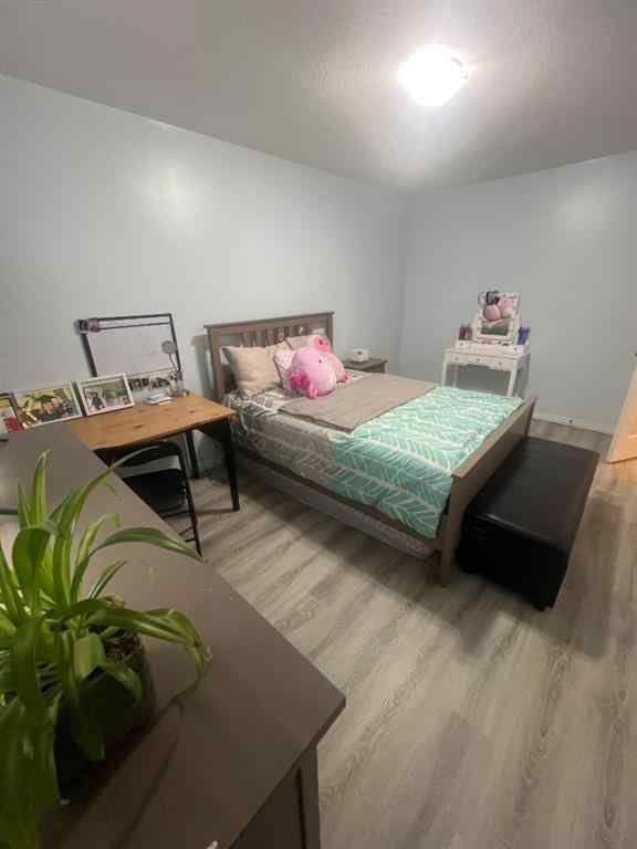 MLS® A2245706 - 205 Elm Street  in Timberlea Fort McMurray, Residential