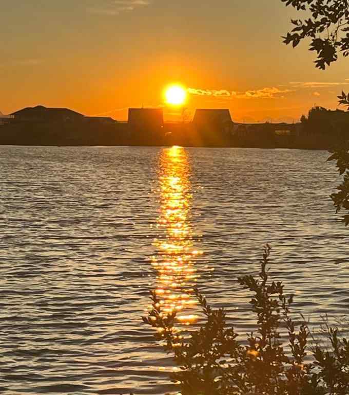 MLS® A2245709 - 31 Mountain Vista Estates Drive  in NONE Hill Spring, Residential