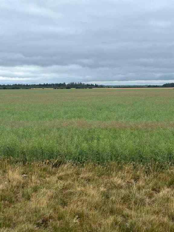 MLS® A2245808 - Unit #892021 221 Range Road   in NONE Rural Northern Lights, County of, Agri-Business