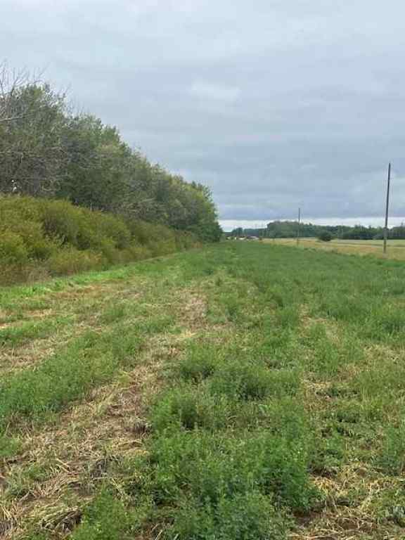 MLS® A2245808 - Unit #892021 221 Range Road   in NONE Rural Northern Lights, County of, Agri-Business