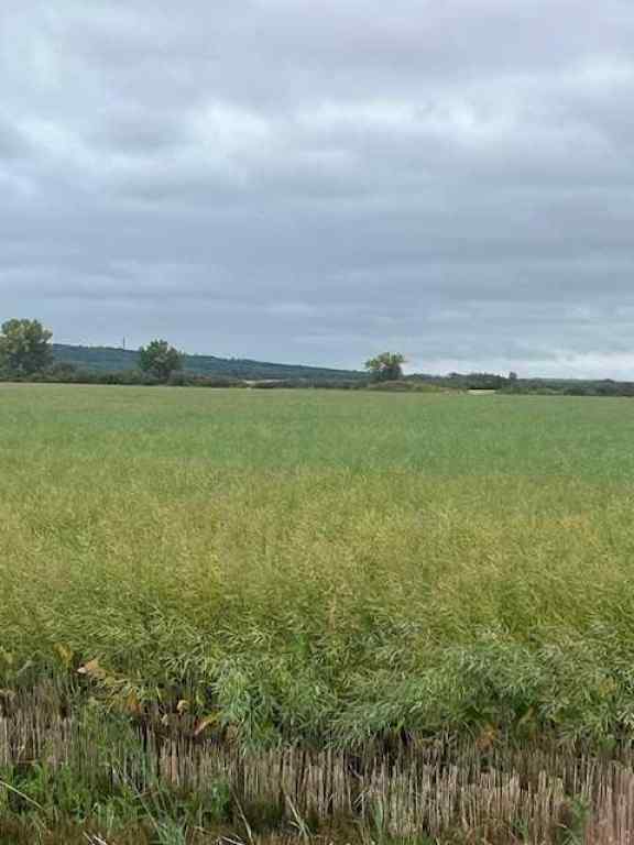 MLS® A2245808 - Unit #892021 221 Range Road   in NONE Rural Northern Lights, County of, Agri-Business